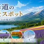 沖縄の離島めぐり、初めてでも安心の周り方ガイド